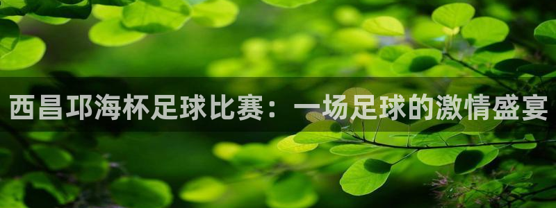  vsport体育平台app：西昌邛海杯足球比赛：一场足球的激
