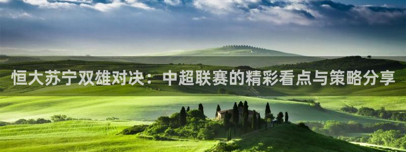 vsport体育阿根廷：恒大苏宁双雄对决：中超联赛的精彩看点