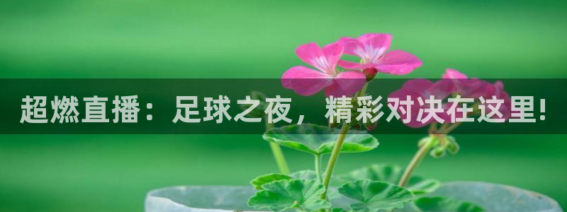  vsport体育平台：超燃直播：足球之夜，精彩对决在这里!