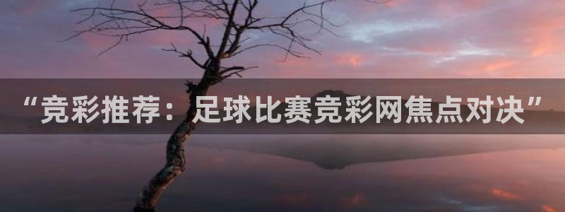  Vsport体育官方网站入口：“竞彩推荐：足球比赛竞彩网焦点