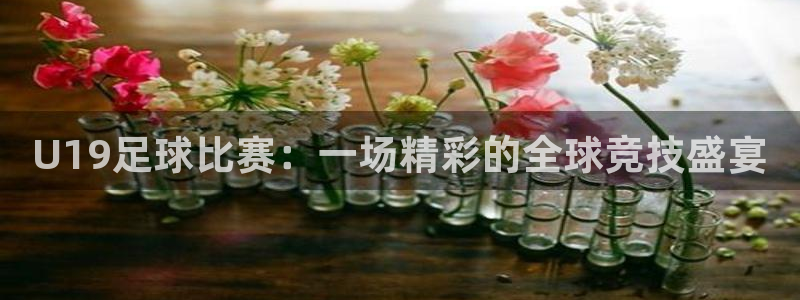 vsport体育在线官网阿根廷：U19足球比赛：一场精彩的全