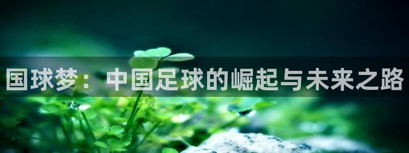 vsport体育在线官网：国球梦：中国足球的崛起与未来之路
