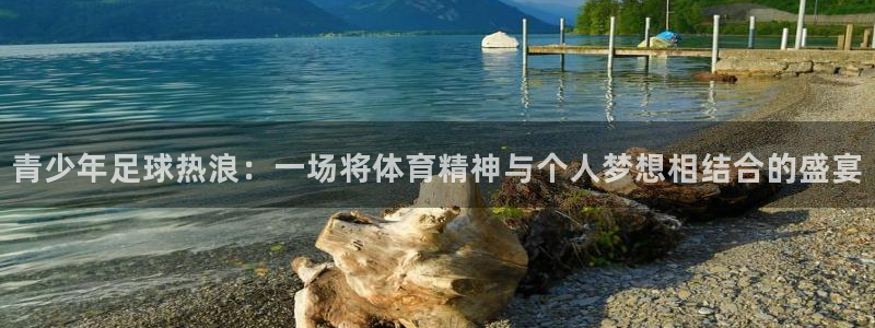  哈哈体育体育平台-胜利因您更精彩：青少年足球热浪：一场将体育