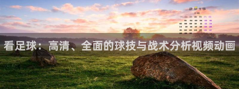 vsport体育在线官网阿根廷：看足球：高清、全面的球技与战