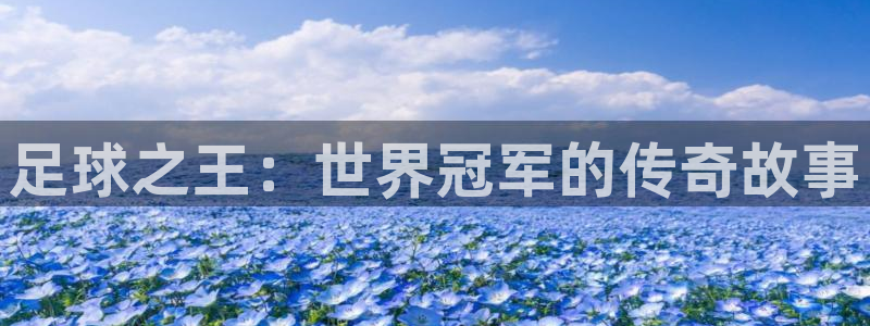  vsport体育平台app：足球之王：世界冠军的传奇故事