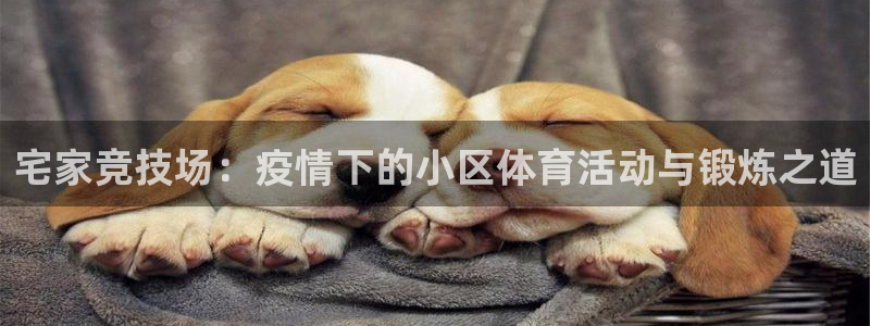 ug环球官网注册