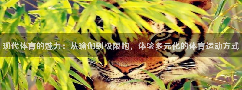 ug环球官网注册